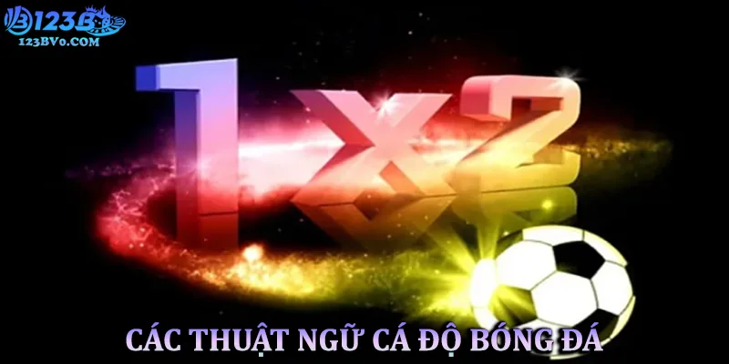 Thuật ngữ cá độ bóng đá