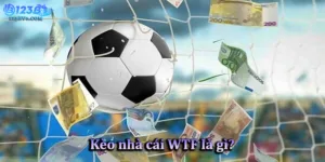 Kèo nhà cái WTF là gì? Cách đánh giá và tham gia hiệu quả