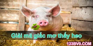 Giải mã giấc mơ thấy heo