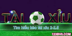 Tài xỉu 2-2.5 là gì?